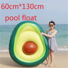 Giant Mat Float For Adult Pool Party