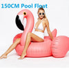 Giant Mat Float For Adult Pool Party