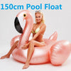Giant Mat Float For Adult Pool Party